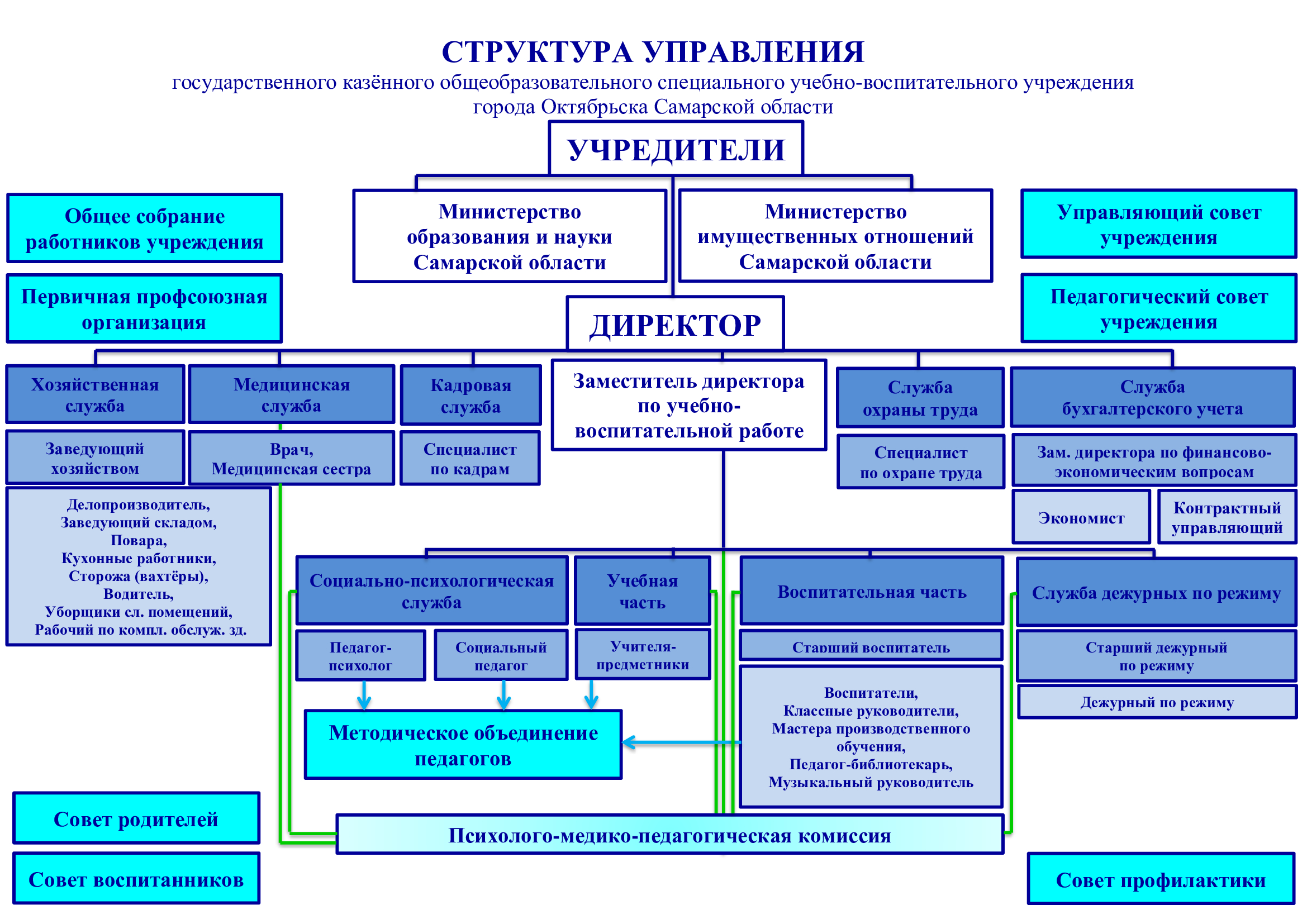 Организационная структура бюджетного учреждения схема