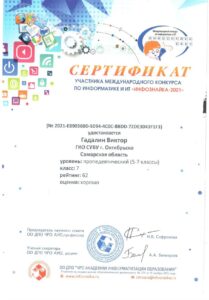 Сертификат Гадалин Виктор