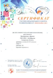 Сертификат Халиуллин Данил