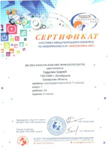 Сертификат Гадалин Сергей