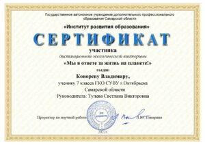 Сертификат Конорева В.