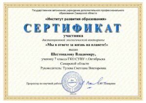 Сертификат Шестопалова В.