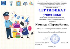 Сертификат участия в областной профилактической акции