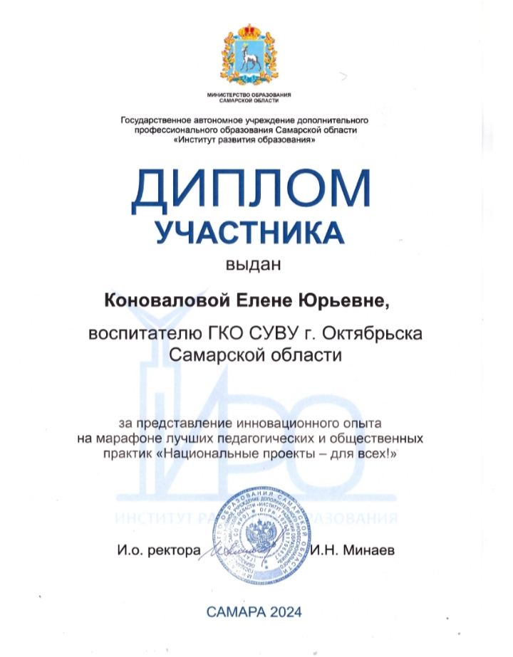 Диплом Коноваловой Е.Ю.