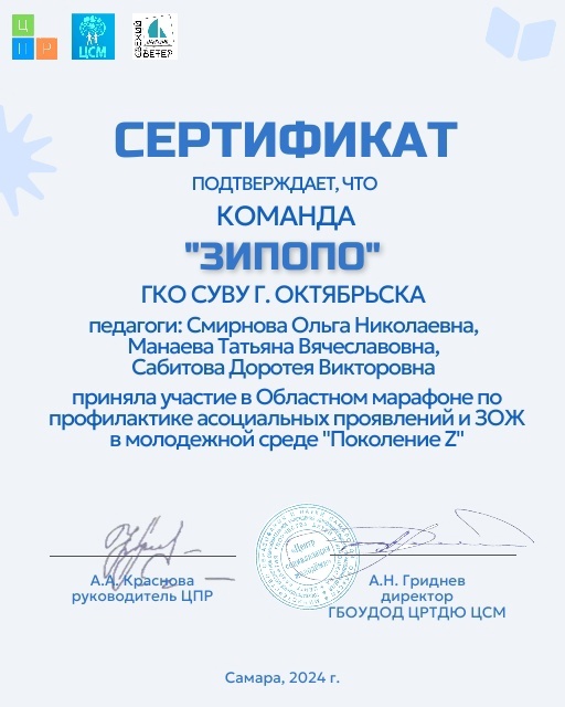 Сертификат команде ЗИПОПО