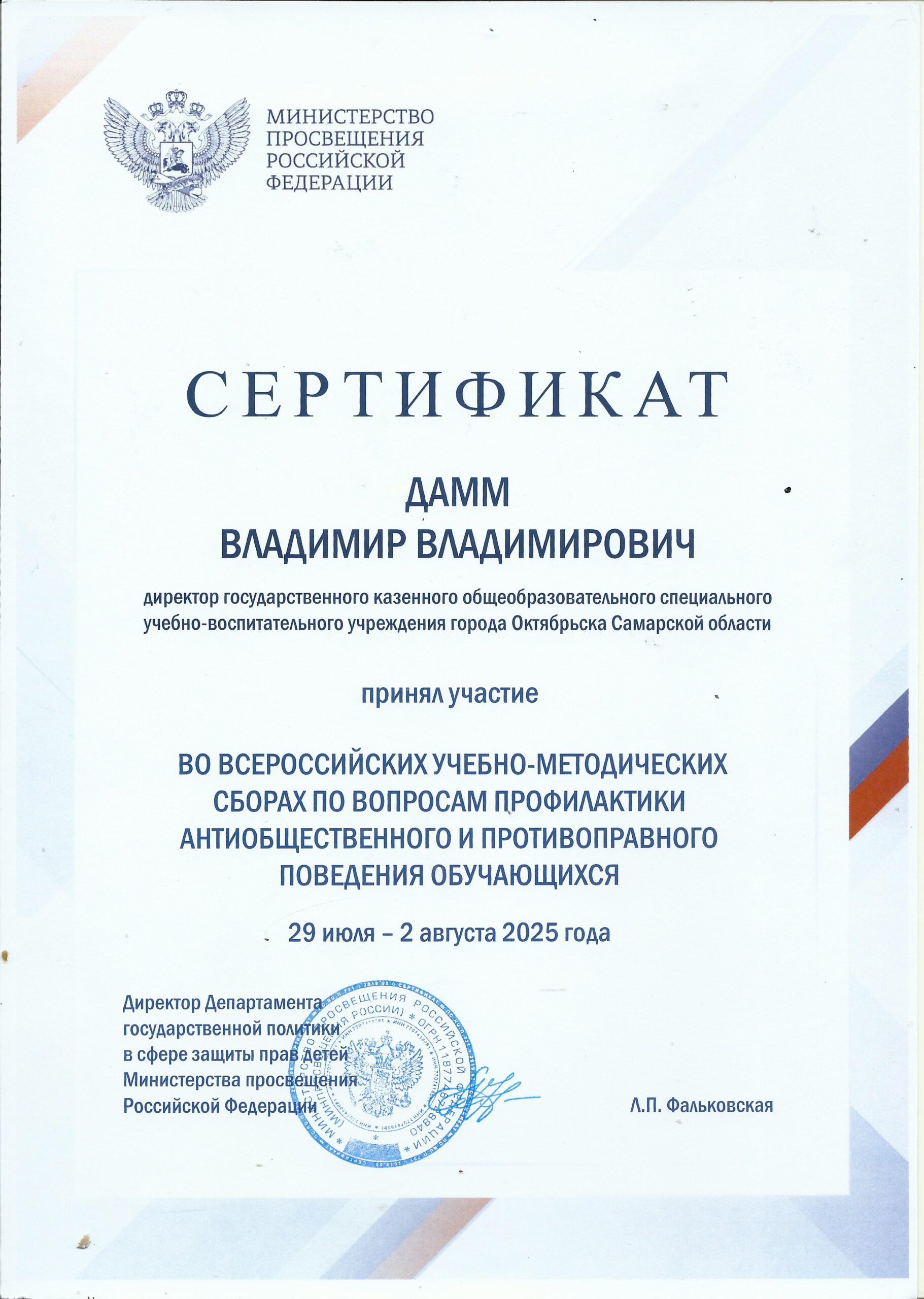 Сертификат Дамм В.В.